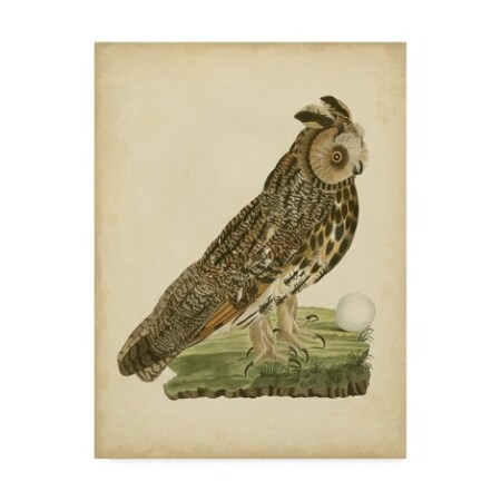 Nozeman 'Antique Nozeman Owl Iii' Canvas Art,14x19